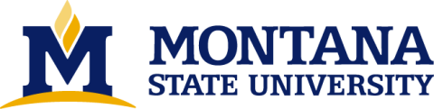 Montana State University Logo