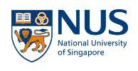 National University of Singapore