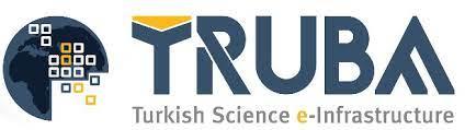 Turkish Science e-Infrastructure Logo