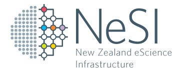 New Zealand eScience Infrastructure